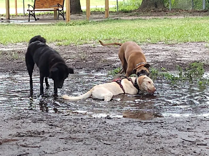 Dr Otts Off Leash Dog Sanctuary 7