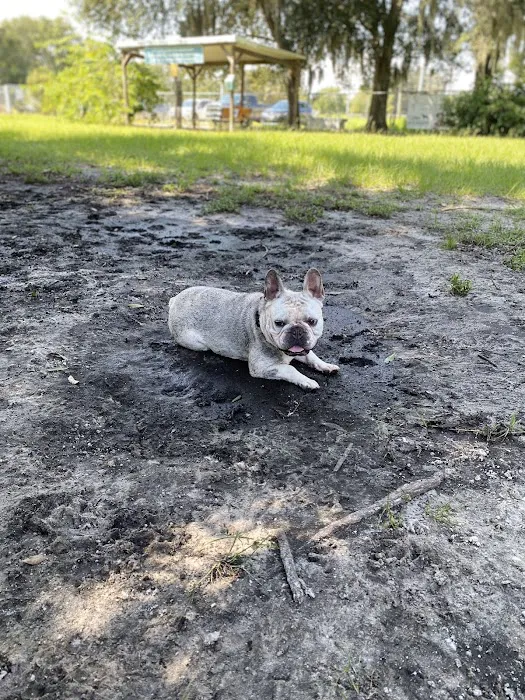 Dr Otts Off Leash Dog Sanctuary 4