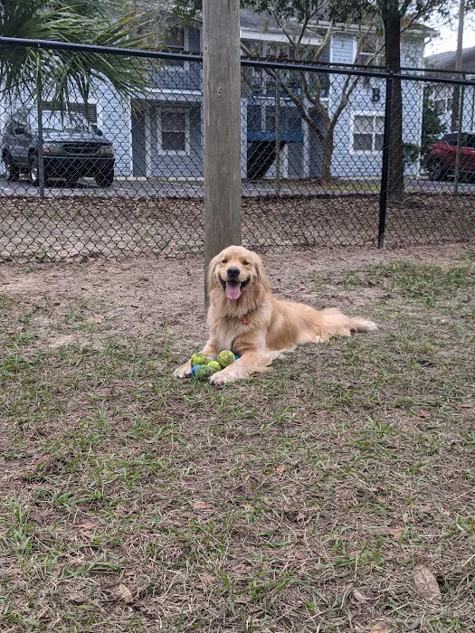 Temple Terrace Dog park 1