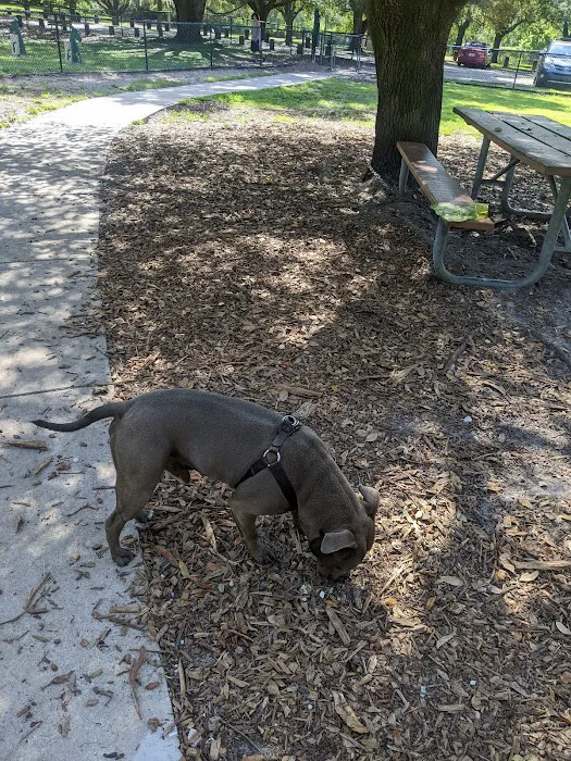 Rowlett Dog Park 8