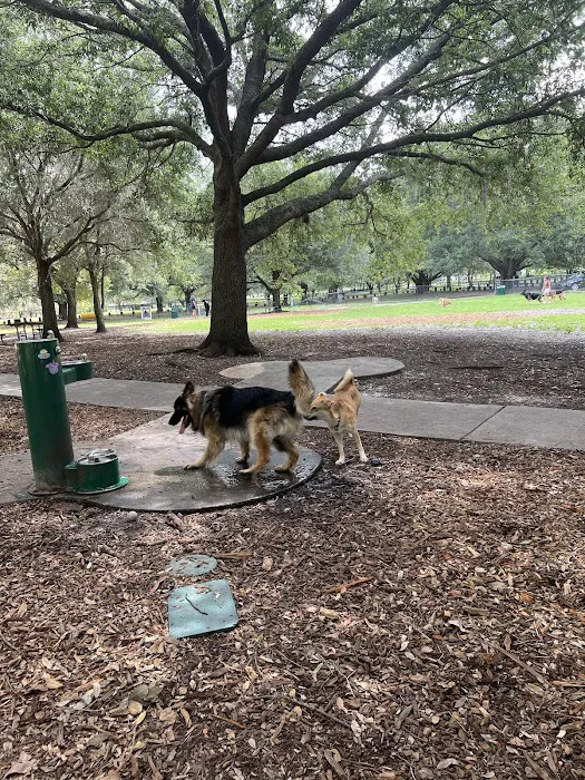 Rowlett Dog Park 6