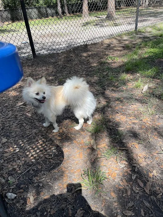 Compton Place dog park 6
