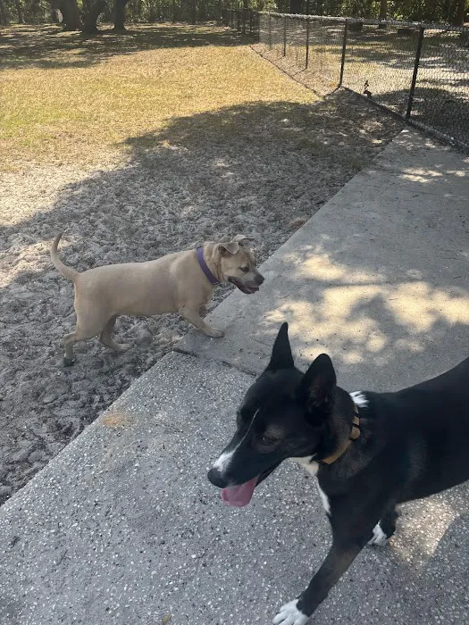 Dog Park at Al Lopez Park 9