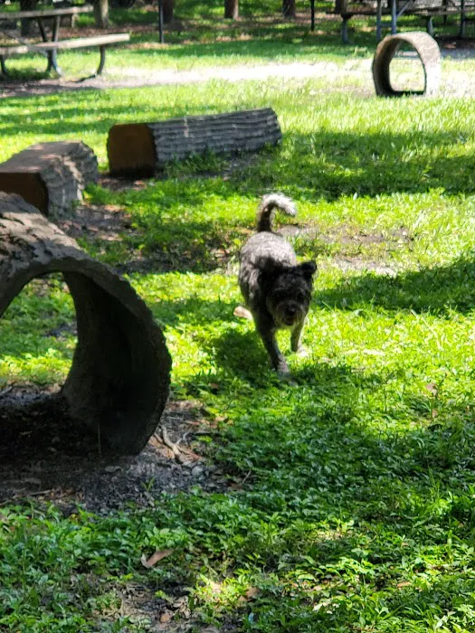 Dog Park at Al Lopez Park 8