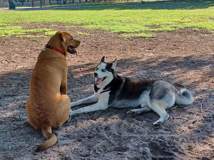 Dog Park at Al Lopez Park 7