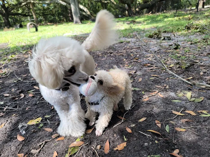 Dog Park at Al Lopez Park 1