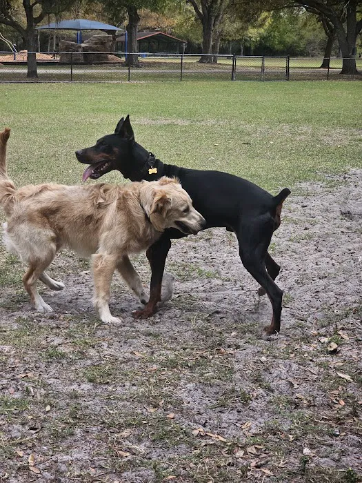 Dog Park at Al Lopez Park 2