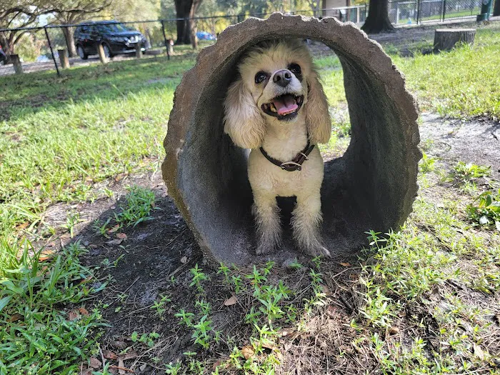 Dog Park at Al Lopez Park 3