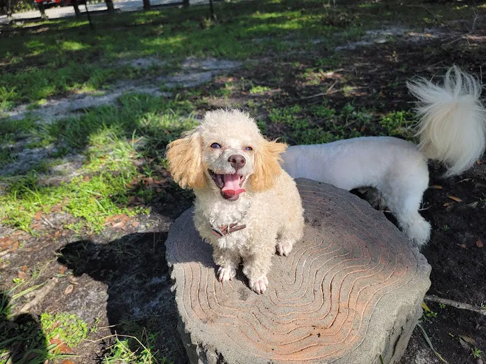Dog Park at Al Lopez Park 4