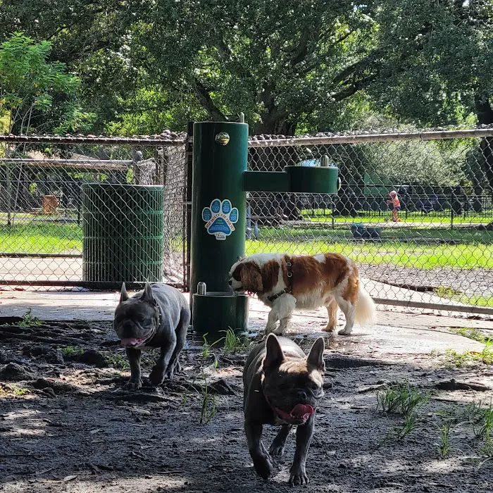 Dog Park at Al Lopez Park 10