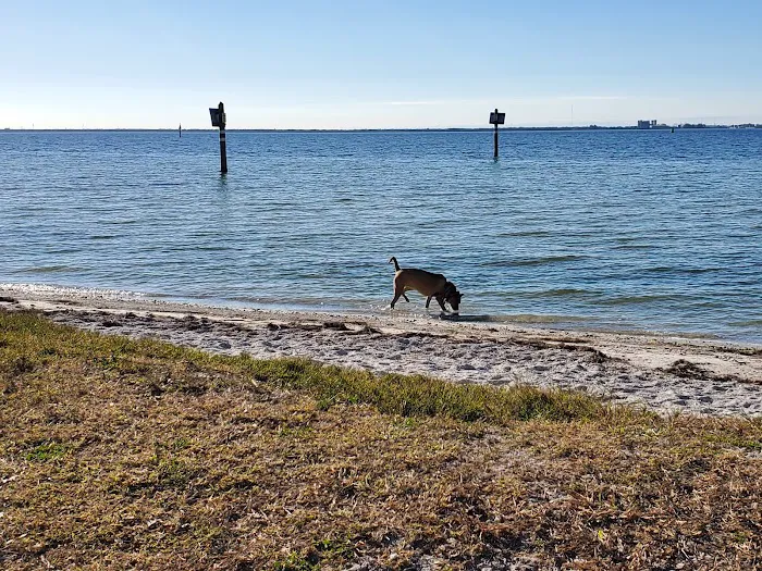 Picnic Island Beach Dog Park 3