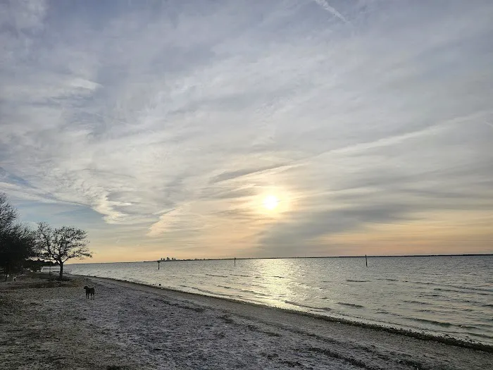 Picnic Island Beach Dog Park 1