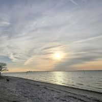 Picnic Island Beach Dog Park ico