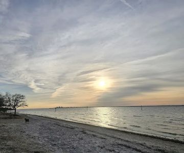 Picnic Island Beach Dog Park