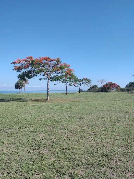 Picnic Island Beach Dog Park 2