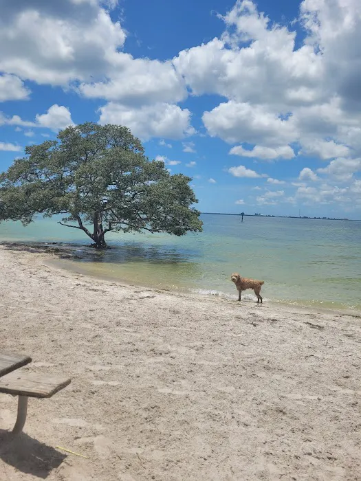 Picnic Island Beach Dog Park 7