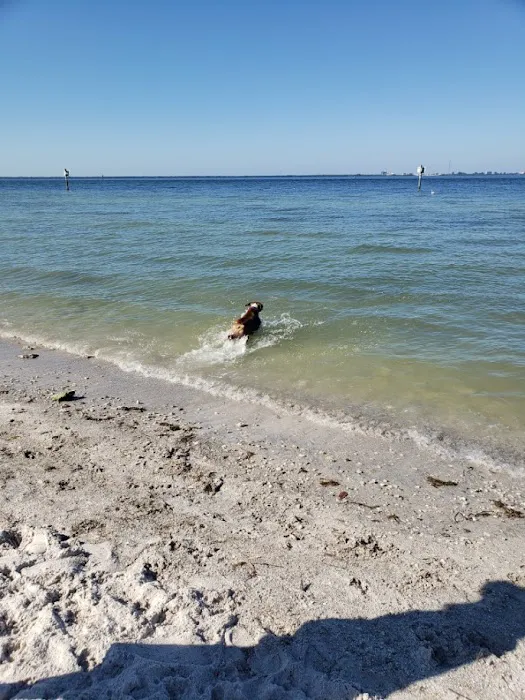 Picnic Island Beach Dog Park 9