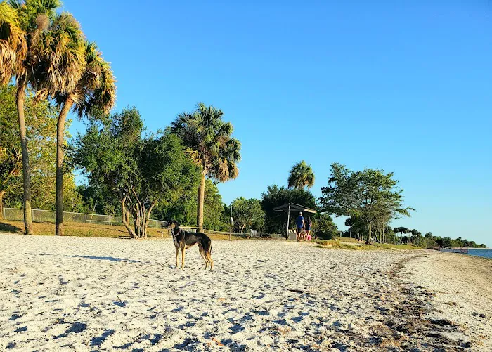 Picnic Island Beach Dog Park 8