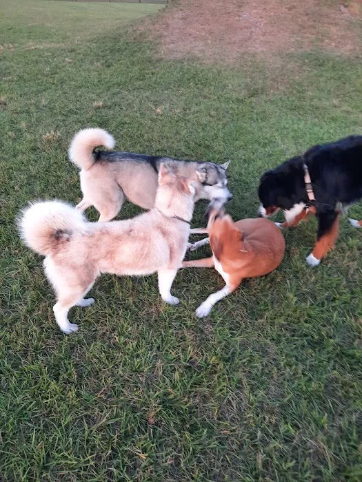 Dash’s Bark Park 1