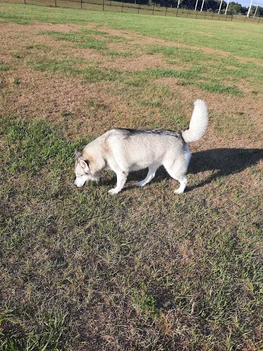 Dash’s Bark Park 8