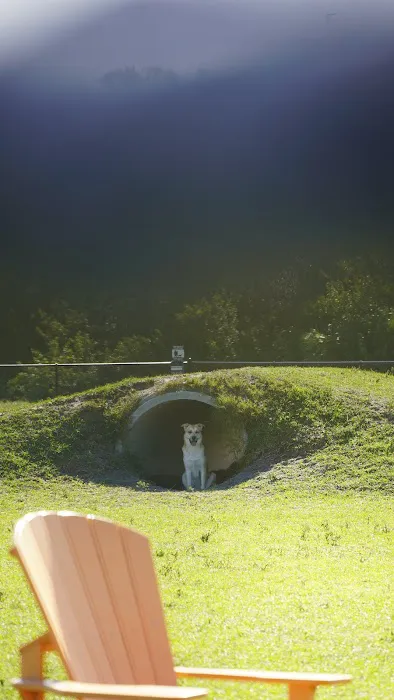 Dash’s Bark Park 7