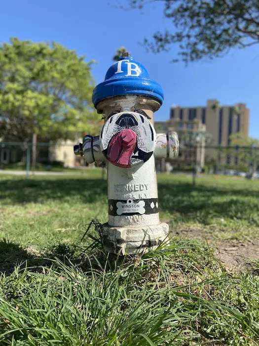 Small Dogs Park at the Vinoy Park of St petersburg - FL 1