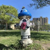 Small Dogs Park at the Vinoy Park of St petersburg - FL ico