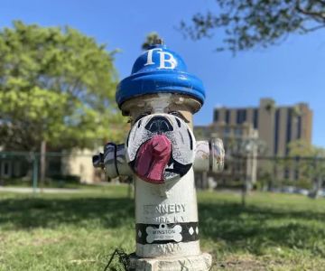 Small Dogs Park at the Vinoy Park of St petersburg - FL