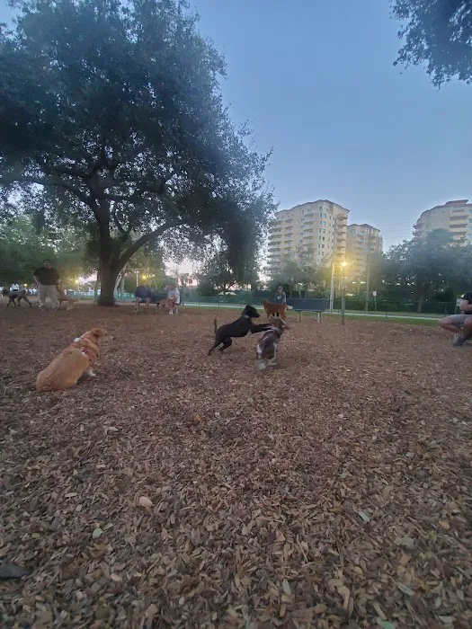 Small Dogs Park at the Vinoy Park of St petersburg - FL 2
