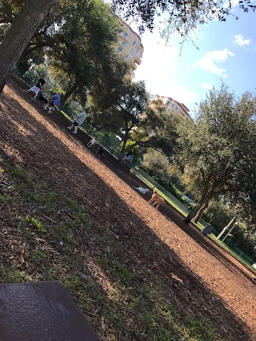Northshore Dog Park 3