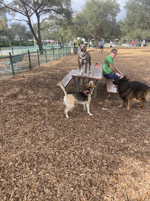 Northshore Dog Park 4