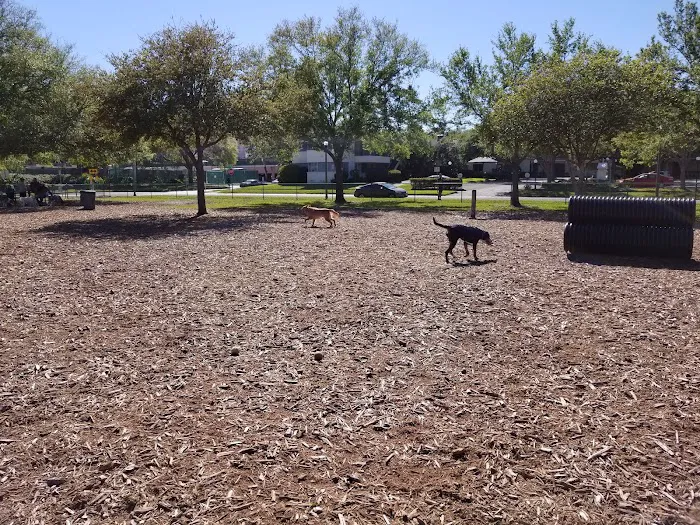Northshore Dog Park 8