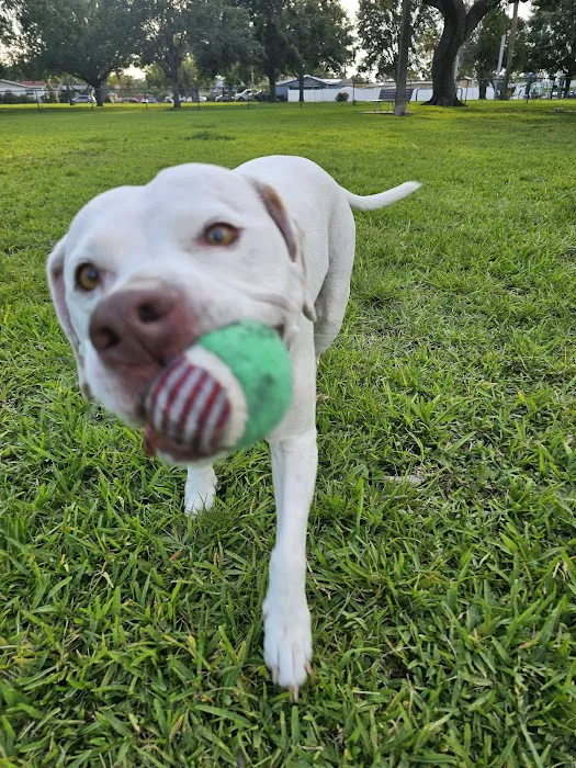 Lake Vista Dog Park 1