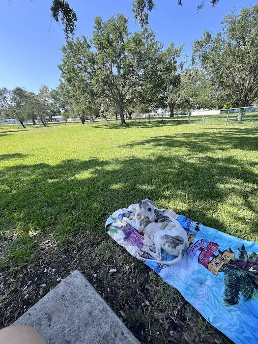 Lake Vista Dog Park 3
