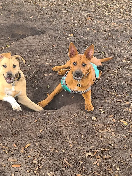 Crescent Lake Dog Park 2