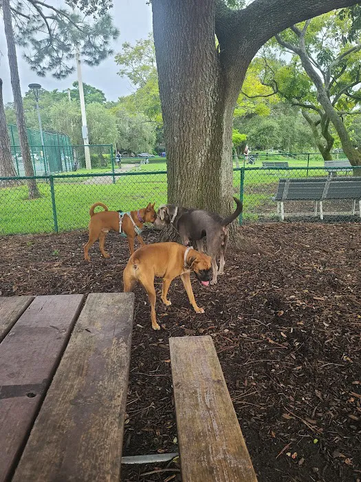 Crescent Lake Dog Park 4