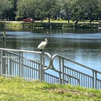 Crescent Lake Dog Park ico