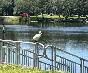 Crescent Lake Dog Park
