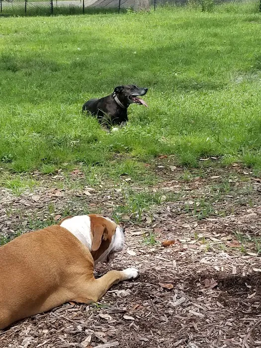 Kenwood Dog Park 9