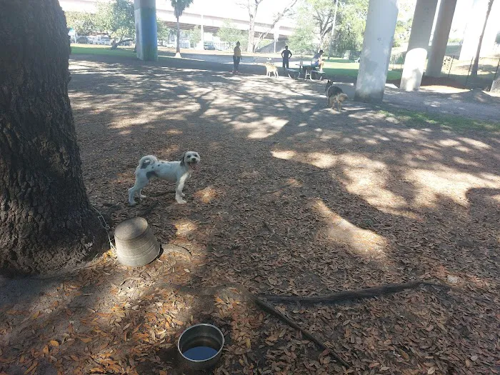 Kenwood Dog Park 1