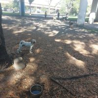 Kenwood Dog Park ico