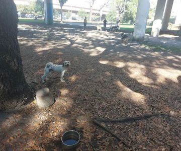 Kenwood Dog Park