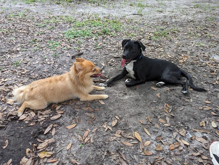 Kenwood Dog Park 3
