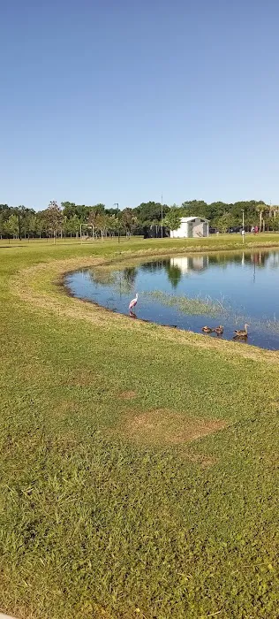 Carrollwood Village Dog Park 1