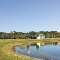 Carrollwood Village Dog Park ico