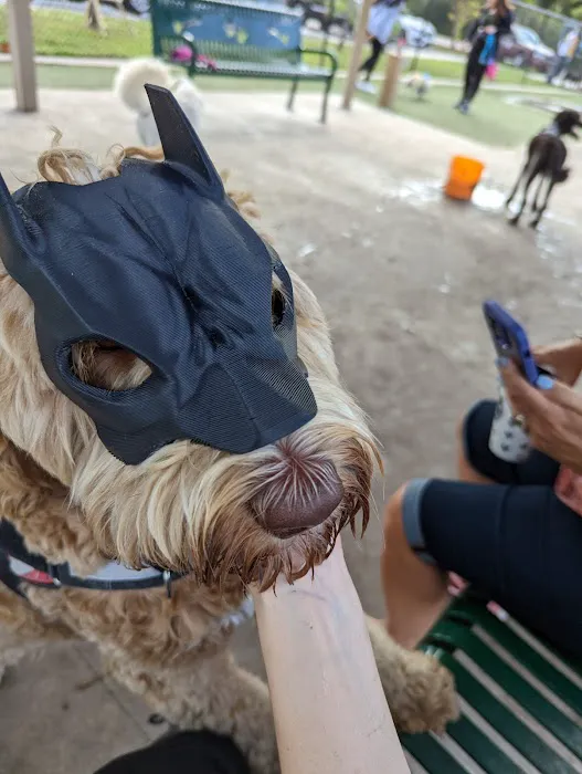 Carrollwood Village Dog Park 3