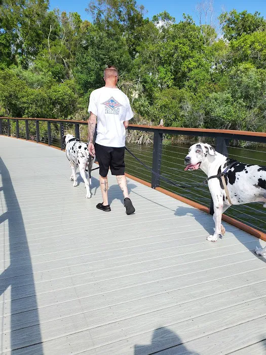 Carrollwood Village Dog Park 9