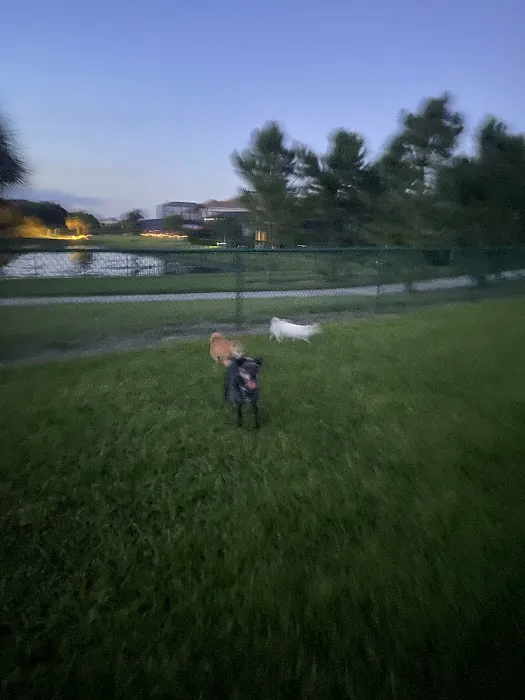 Bob Gardner Dog Park 5