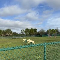 Bob Gardner Dog Park ico