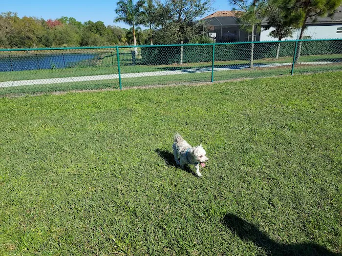 Bob Gardner Dog Park 4